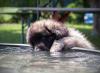 images/T-Wurf/T-Wurf Wo 10/3S8A3102-Bearbeitet_Web.jpg